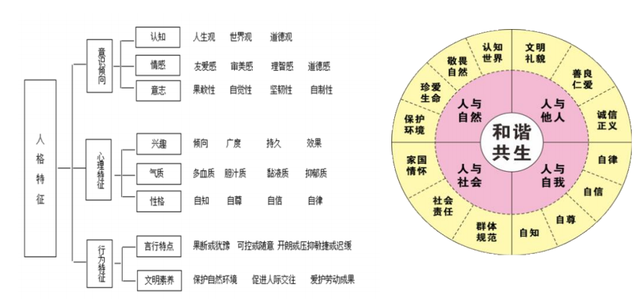 屏幕截图 2024-11-26 162013.png